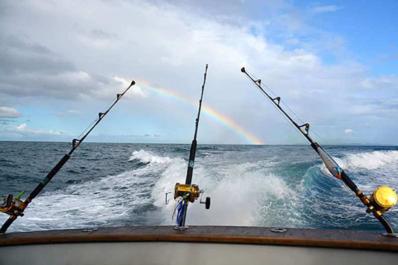 Deep Sea Fishing in Roatan